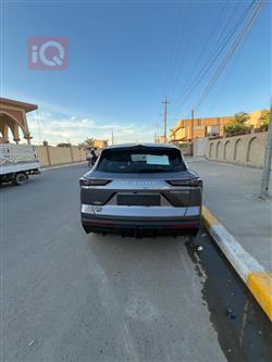 جیتۆر داشينگ